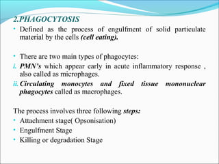 2.PHAGOCYTOSIS
• Defined as the process of engulfment of solid particulate
material by the cells (cell eating).
• There are two main types of phagocytes:
i. PMN’s which appear early in acute inflammatory response ,
also called as microphages.
ii.Circulating monocytes and fixed tissue mononuclear
phagocytes called as macrophages.
The process involves three following steps:
• Attachment stage( Opsonisation)
• Engulfment Stage
• Killing or degradation Stage
 