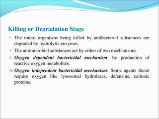 Killing or Degradation Stage
• The micro organisms being killed by antibacterial substances are
degraded by hydrolytic enzymes.
• The antimicrobial substances act by either of two mechanisms:
i. Oxygen dependent bactericidal mechanism: by production of
reactive oxygen metabolites.
ii. Oxygen independent bactericidal mechanism: Some agents donot
require oxygen like lysosomal hydrolases, defensins, cationic
proteins.
 