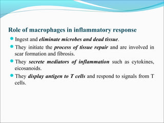 Role of macrophages in inflammatory response
Ingest and eliminate microbes and dead tissue.
They initiate the process of tissue repair and are involved in
scar formation and fibrosis.
They secrete mediators of inflammation such as cytokines,
eicosanoids.
They display antigen to T cells and respond to signals from T
cells.
 