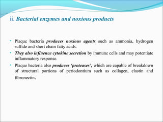 ii. Bacterial enzymes and noxious products
• Plaque bacteria produces noxious agents such as ammonia, hydrogen
sulfide and short chain fatty acids.
• They also influence cytokine secretion by immune cells and may potentiate
inflammatory response.
• Plaque bacteria also produces ‘proteases’, which are capable of breakdown
of structural portions of periodontium such as collagen, elastin and
fibronectin.
 