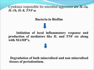 • Cytokines responsible for microbial aggression are IL-1a,
IL-1b, IL-8, TNF-a.
Bacteria in Biofilm
Initiation of local inflammatory response and
production of mediators like IL and TNF etc along
with MAMP’s.
Degradation of both mineralized and non mineralised
tissues of periodontium.
 
