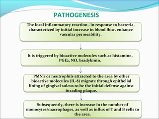 PATHOGENESIS
The local inflammatory reaction , in response to bacteria,
characterized by initial increase in blood flow, enhance
vascular permeability.
It is triggered by bioactive molecules such as histamine,
PGE2, NO, bradykinin.
PMN’s or neutrophils attracted to the area by other
bioactive molecules (IL-8) migrate through epithelial
lining of gingival sulcus to be the initial defense against
invading plaque.
Subsequently, there is increase in the number of
monocytes/macrophages, as well as influx of T and B cells to
the area.
 