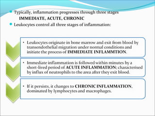 Typically, inflammation progresses through three stages
IMMEDIATE, ACUTE, CHRONIC
Leukocytes control all three stages of inflammation:
 