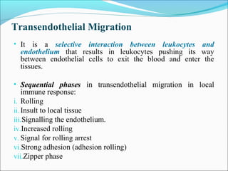 Transendothelial Migration
• It is a selective interaction between leukocytes and
endothelium that results in leukocytes pushing its way
between endothelial cells to exit the blood and enter the
tissues.
• Sequential phases in transendothelial migration in local
immune response:
i. Rolling
ii.Insult to local tissue
iii.Signalling the endothelium.
iv.Increased rolling
v. Signal for rolling arrest
vi.Strong adhesion (adhesion rolling)
vii.Zipper phase
 