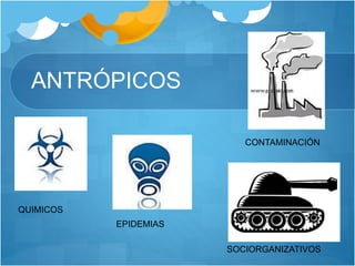 ANTRÓPICOS
QUIMICOS
CONTAMINACIÓN
EPIDEMIAS
SOCIORGANIZATIVOS
 