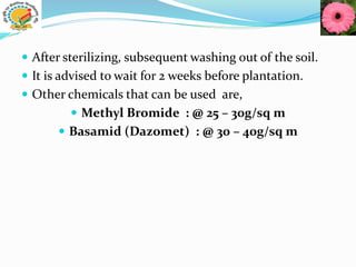  After sterilizing, subsequent washing out of the soil.
 It is advised to wait for 2 weeks before plantation.
 Other chemicals that can be used are,
 Methyl Bromide : @ 25 – 30g/sq m
 Basamid (Dazomet) : @ 30 – 40g/sq m
 