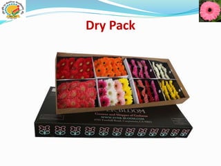 Dry Pack
 