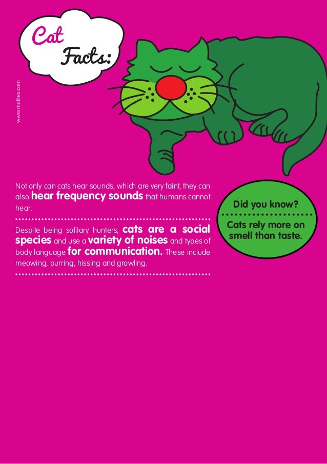 cat facts texts cat facts texts