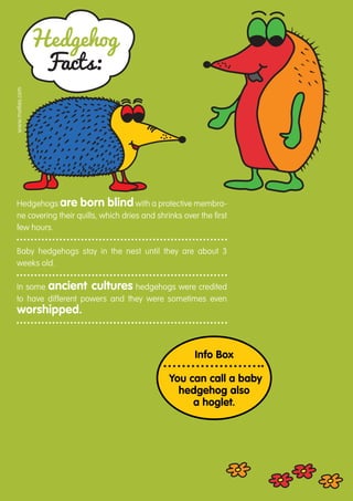 Hedgehog
                   Facts:
www.motlies.com




 Hedgehogs are born blind with a protective membra-
 ne covering their quills, which dries and shrinks over the first
 few hours.

 Baby hedgehogs stay in the nest until they are about ­
                                                      3
 weeks old.

 In some ancient cultures hedgehogs were credited
 to have different powers and they were sometimes even
 worshipped.


                                                       Info Box

                                               You can call a baby
                                                 hedgehog also
                                                    a hoglet.
 