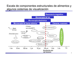 Escala de componentes estructurales de alimentos y
algunos sistemas de visualización
                                     ...