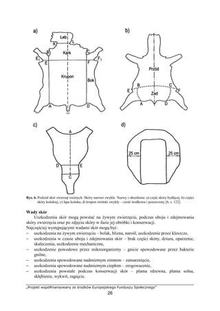 Rzeznik.wedliniarz 741[03] z3.01_u | PDF