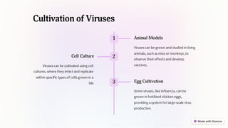 Cultivation of Viruses
1 Animal Models
Viruses can be grown and studied in living
animals, such as mice or monkeys, to
observe their effects and develop
vaccines.
2
Cell Culture
Viruses can be cultivated using cell
cultures, where they infect and replicate
within specific types of cells grown in a
lab. 3 Egg Cultivation
Some viruses, like influenza, can be
grown in fertilized chicken eggs,
providing asystem for large-scale virus
production.
 