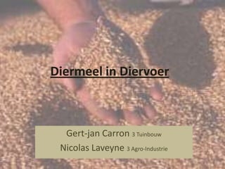 Diermeel in Diervoer Gert-jan Carron 3 Tuinbouw Nicolas Laveyne3 Agro-Industrie 