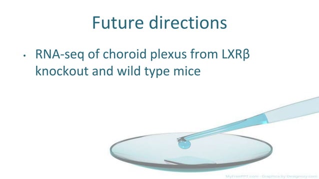 Mouse brain immunohistochemistry staining | PPT