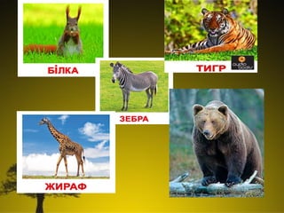 Різноманітність тварин у природі.