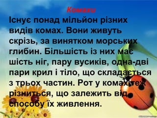 Комахи

Існує понад мільйон різних
видів комах. Вони живуть
скрізь, за винятком морських
глибин. Більшість із них має
шість ніг, пару вусиків, одна-дві
пари крил і тіло, що складається
з трьох частин. Рот у комах теж
різниться, що залежить від
способу їх живлення.

 