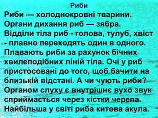Риби

Риби — холоднокровні тварини.
Органи дихання риб — зябра.
Відділи тіла риб - голова, тулуб, хвіст
- плавно переходять один в одного.
Плавають риби за рахунок бічних
хвилеподібних ліній тіла. Очі у риб
пристосовані до того, щоб бачити на
близькій відстані. А чи чують риби?
Органом слуху є внутрішнє вухо звук
сприймається через кістки черепа.
Найбільша у світі риба китова акула.

 