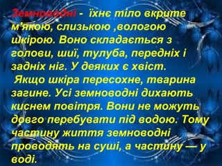 Земноводні - їхнє тіло вкрите
м'якою, слизькою ,вологою
шкірою. Воно складається з
голови, шиї, тулуба, передніх і
задніх ніг. У деяких є хвіст.
Якщо шкіра пересохне, тварина
загине. Усі земноводні дихають
киснем повітря. Вони не можуть
довго перебувати під водою. Тому
частину життя земноводні
проводять на суші, а частину — у
воді.

 