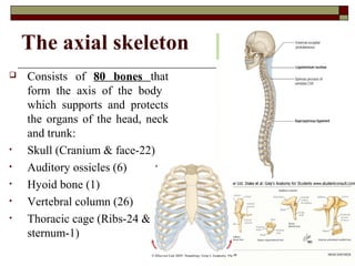 General osteology | PPT