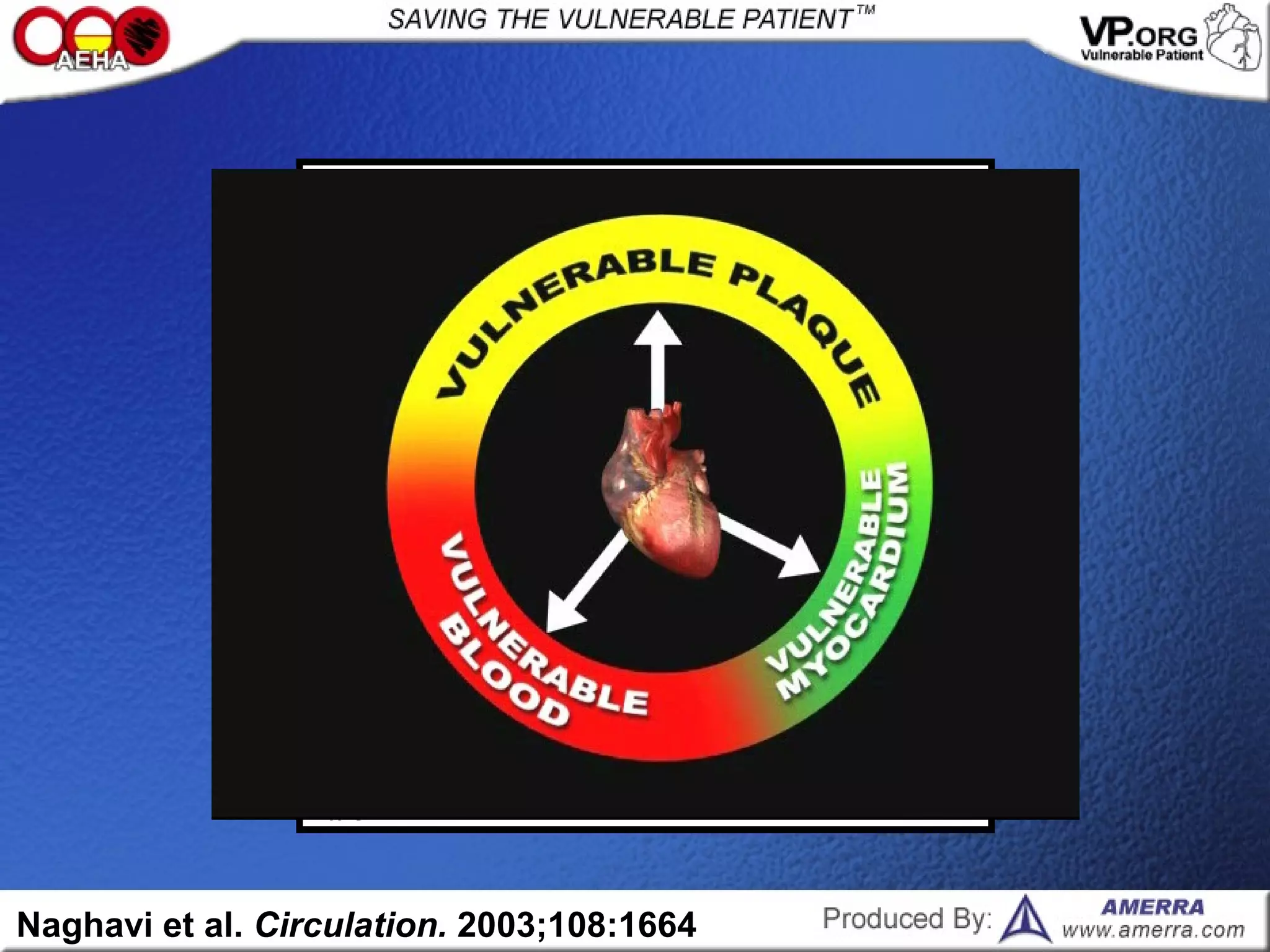 Naghavi et al. Circulation. 2003;108:1664
 