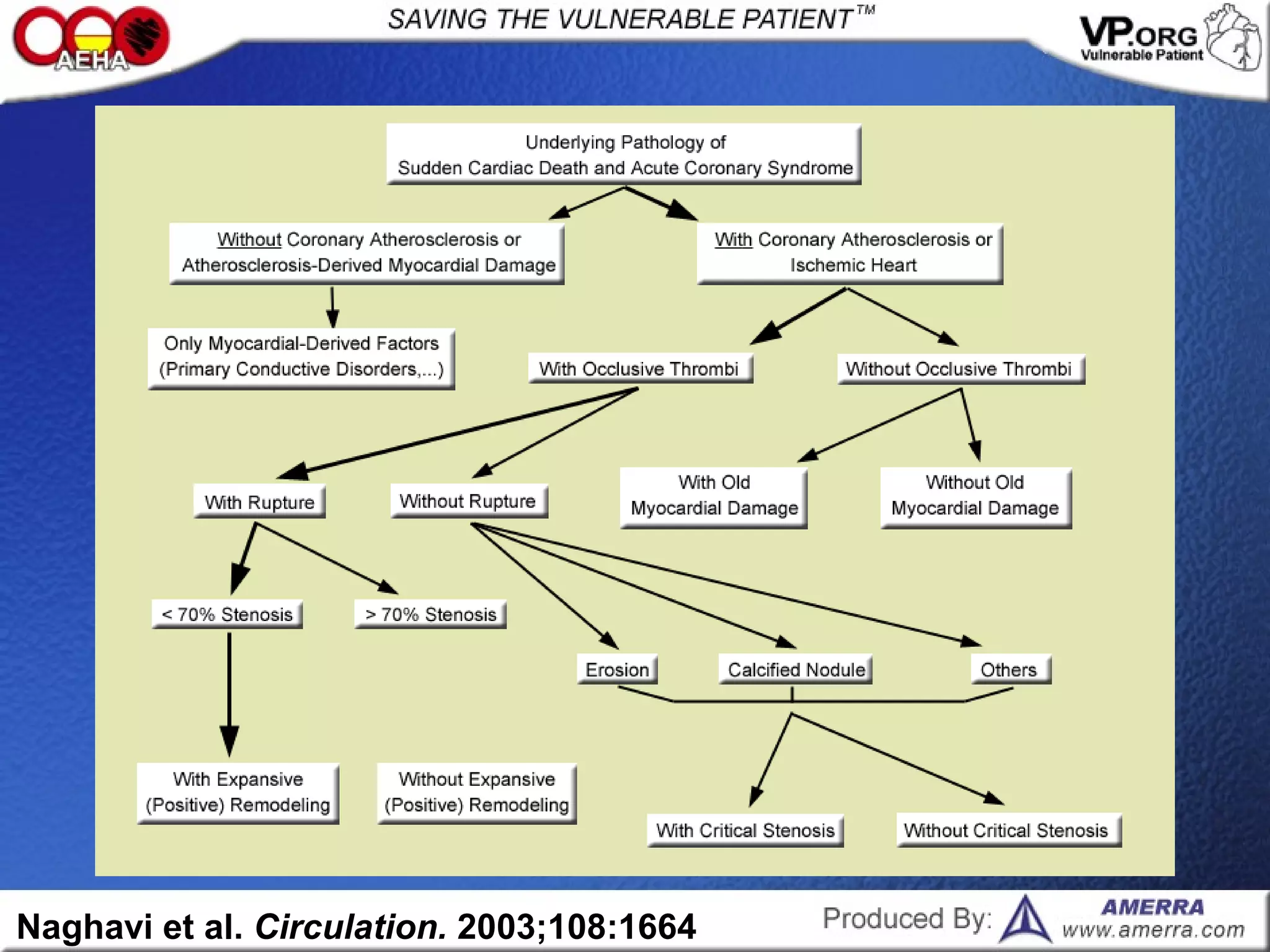 Naghavi et al. Circulation. 2003;108:1664
 