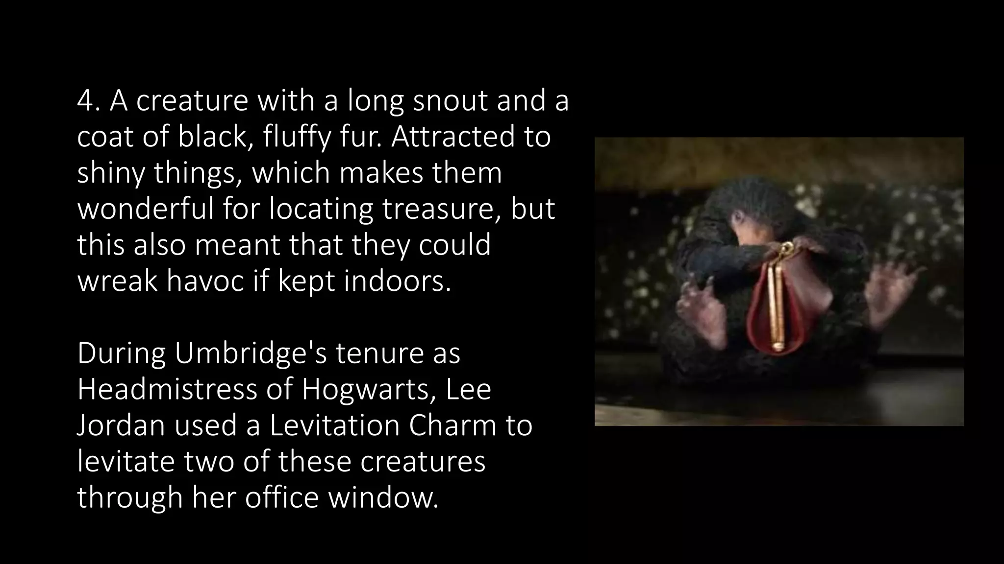 4. A creature with a long snout and a
coat of black, fluffy fur. Attracted to
shiny things, which makes them
wonderful for locating treasure, but
this also meant that they could
wreak havoc if kept indoors.
During Umbridge's tenure as
Headmistress of Hogwarts, Lee
Jordan used a Levitation Charm to
levitate two of these creatures
through her office window.
 