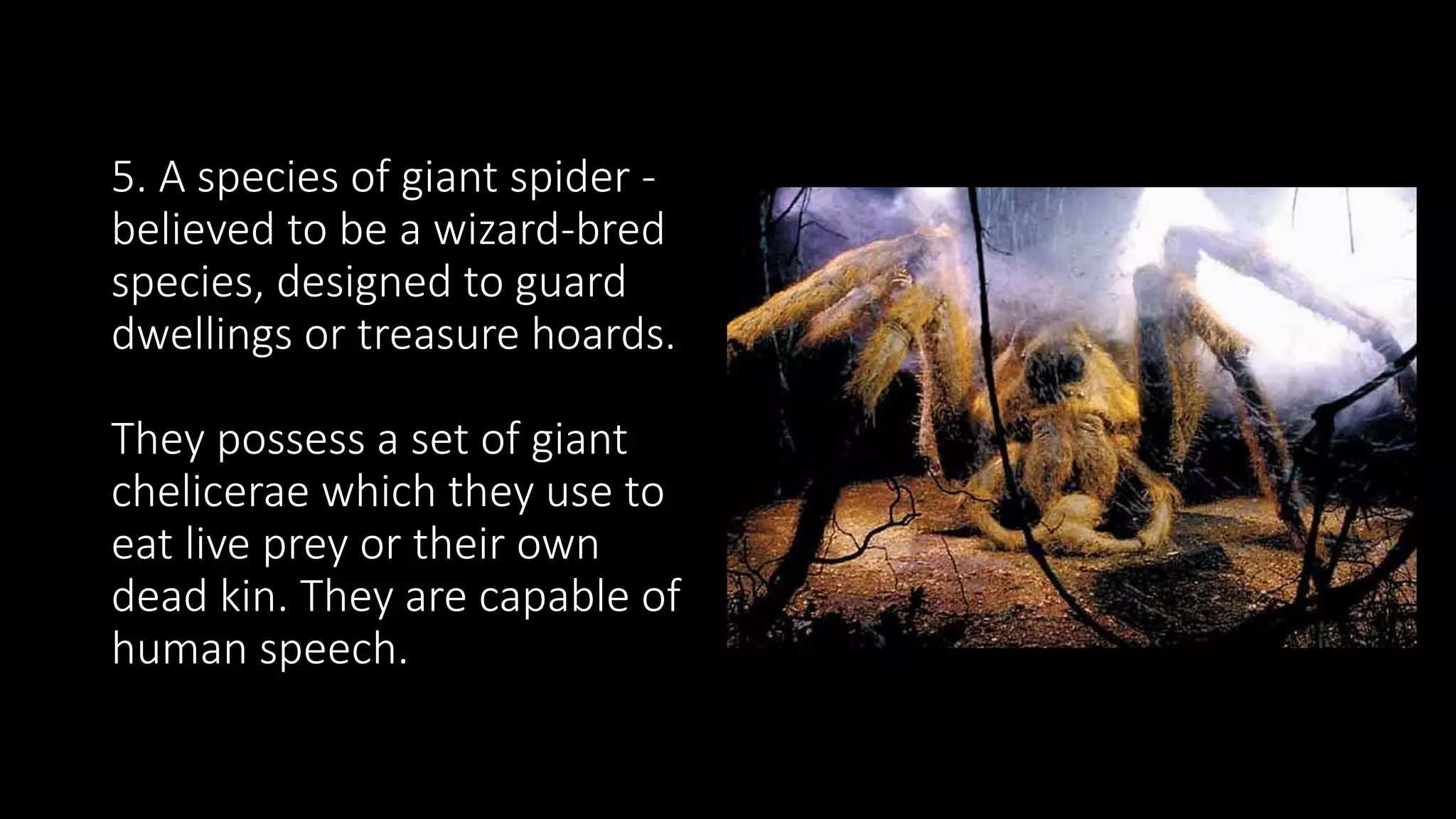 5. A species of giant spider -
believed to be a wizard-bred
species, designed to guard
dwellings or treasure hoards.
They possess a set of giant
chelicerae which they use to
eat live prey or their own
dead kin. They are capable of
human speech.
 