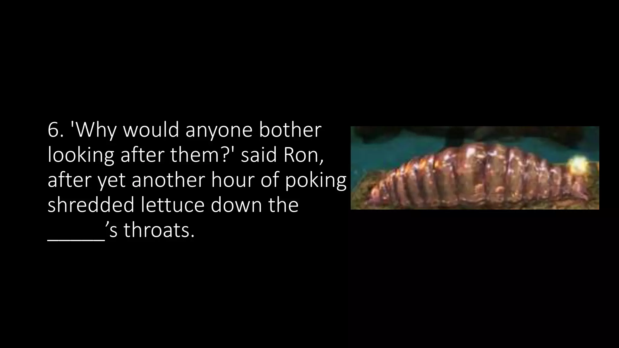 6. 'Why would anyone bother
looking after them?' said Ron,
after yet another hour of poking
shredded lettuce down the
_____’s throats.
 