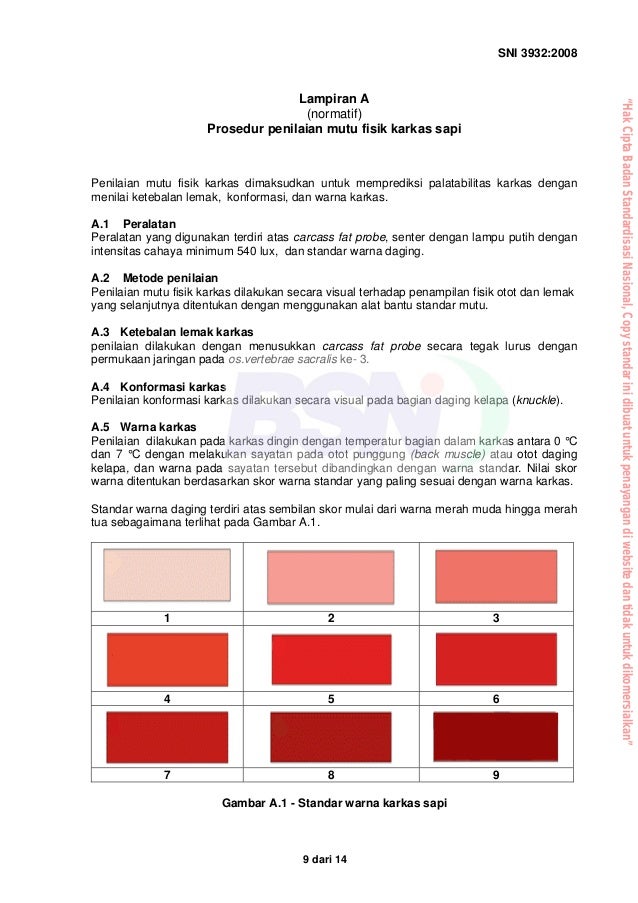 Sni karkas dan daging sapi