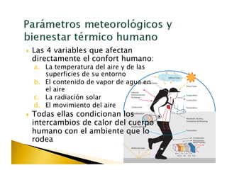   Las
     4 variables que afectan
 directamente el confort humano:
  a.  La temperatura del aire y de las
      superficies de su entorno
  b.  El contenido de vapor de agua en
      el aire
  c.  La radiación solar
  d.  El movimiento del aire
  Todasellas condicionan los
 intercambios de calor del cuerpo
 humano con el ambiente que lo
 rodea
 