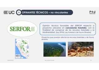 Ing. Heiner Amado
Opinión técnica favorable del SERFOR respecto a
proyectos ubicados en concesiones forestales, con la
finalidad de conservar de los recursos forestales y la
biodiversidad. (Ley 29763, Ley Forestal y de Fauna Silvestre)
08/09/2022 24
Proyectos que puedan afectar los recursos forestales y de fauna
silvestre.
OPINANTES TÉCNICOS – no vinculantes
S3
 