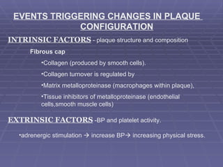 EVENTS TRIGGERING CHANGES IN PLAQUE  CONFIGURATION INTRINSIC FACTORS  - plaque structure and composition Fibrous cap Collagen (produced by smooth cells). Collagen turnover is regulated by  Matrix metalloproteinase (macrophages within plaque), Tissue inhibitors of metalloproteinase (endothelial  cells,smooth muscle cells) EXTRINSIC FACTORS  -BP and platelet activity. adrenergic stimulation    increase BP   increasing physical stress.  