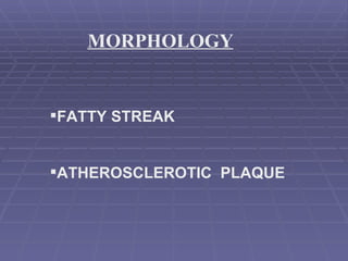 MORPHOLOGY FATTY STREAK ATHEROSCLEROTIC  PLAQUE 