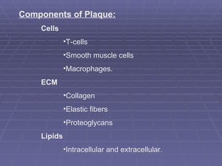 Components of Plaque: Cells T-cells Smooth muscle cells  Macrophages. ECM Collagen  Elastic fibers Proteoglycans Lipids Intracellular and extracellular. 