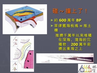碰 ~ 撞上了！ 約 600 萬年 BP 菲律賓海板塊 = 推土機 推擠千萬年以來堆積在深海、淺海的沉積物 ， 200 萬年前擠出東海之上 