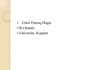   Umer Farooq Dogar
 B.s botany
 University of gujrat
 