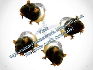 Simplifying basic radical expressions 2