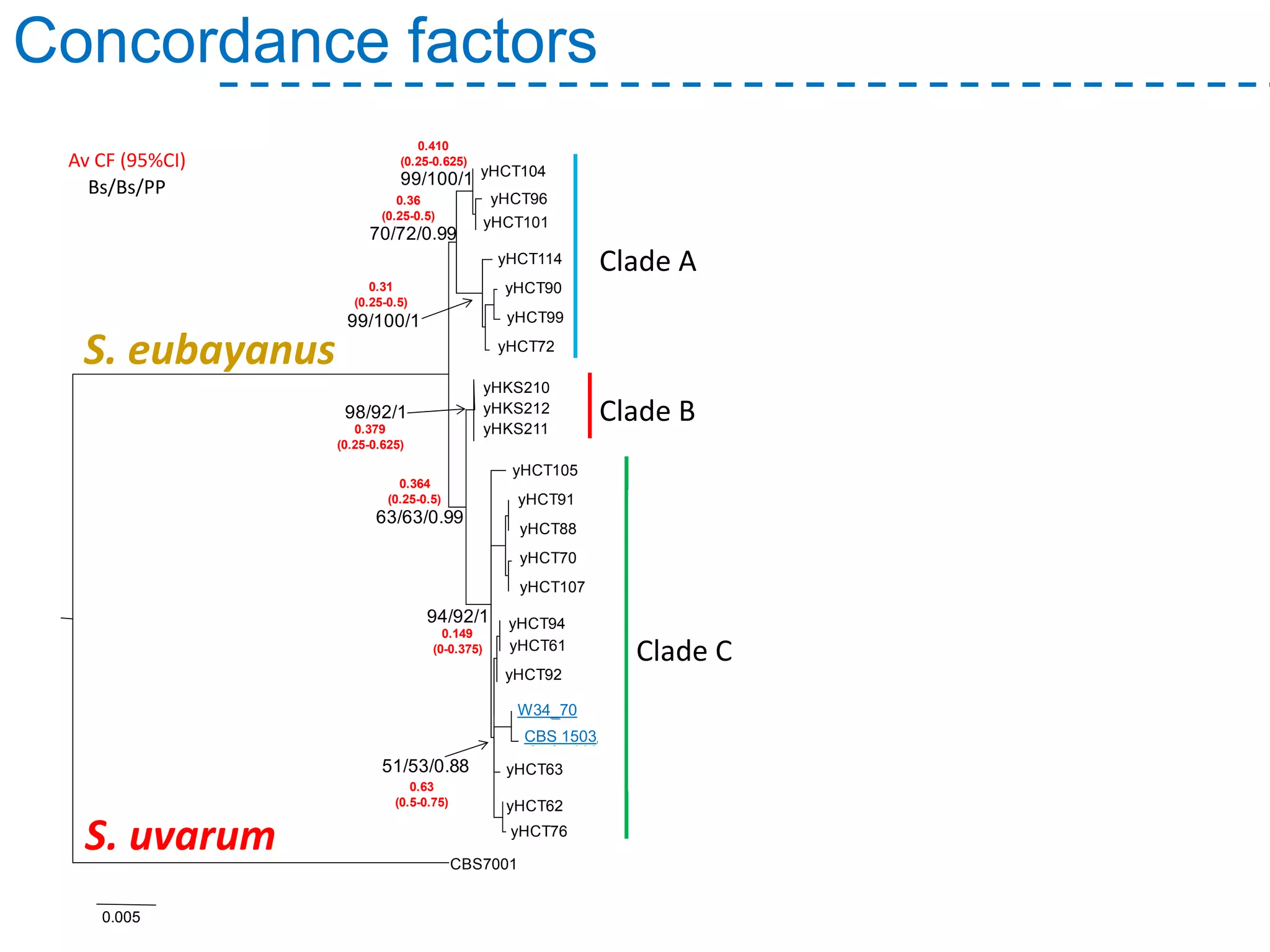 Concordance factors
S. uvarum
S. eubayanus
70/72/0.99
99/100/1
99/100/1
98/92/1
63/63/0.99
94/92/1
51/53/0.88
yHCT104
yHCT96
yHCT101
yHCT114
yHCT90
yHCT99
yHCT72
0.005
yHKS210
yHKS212
yHKS211
yHCT105
yHCT91
yHCT88
yHCT70
yHCT107
yHCT94
yHCT61
yHCT92
W34_70
CBS 1503
yHCT63
yHCT62
yHCT76
CBS7001
PATAGONIA
PATAGONIA-LAGERNORTH
AMERICA
0.410
(0.25-0.625)
0.36
(0.25-0.5)
0.31
(0.25-0.5)
0.379
(0.25-0.625)
0.364
(0.25-0.5)
0.149
(0-0.375)
0.63
(0.5-0.75)
Bs/Bs/PP
Av CF (95%CI)
Clade A
Clade B
Clade C
W34_70
CBS 1503
 