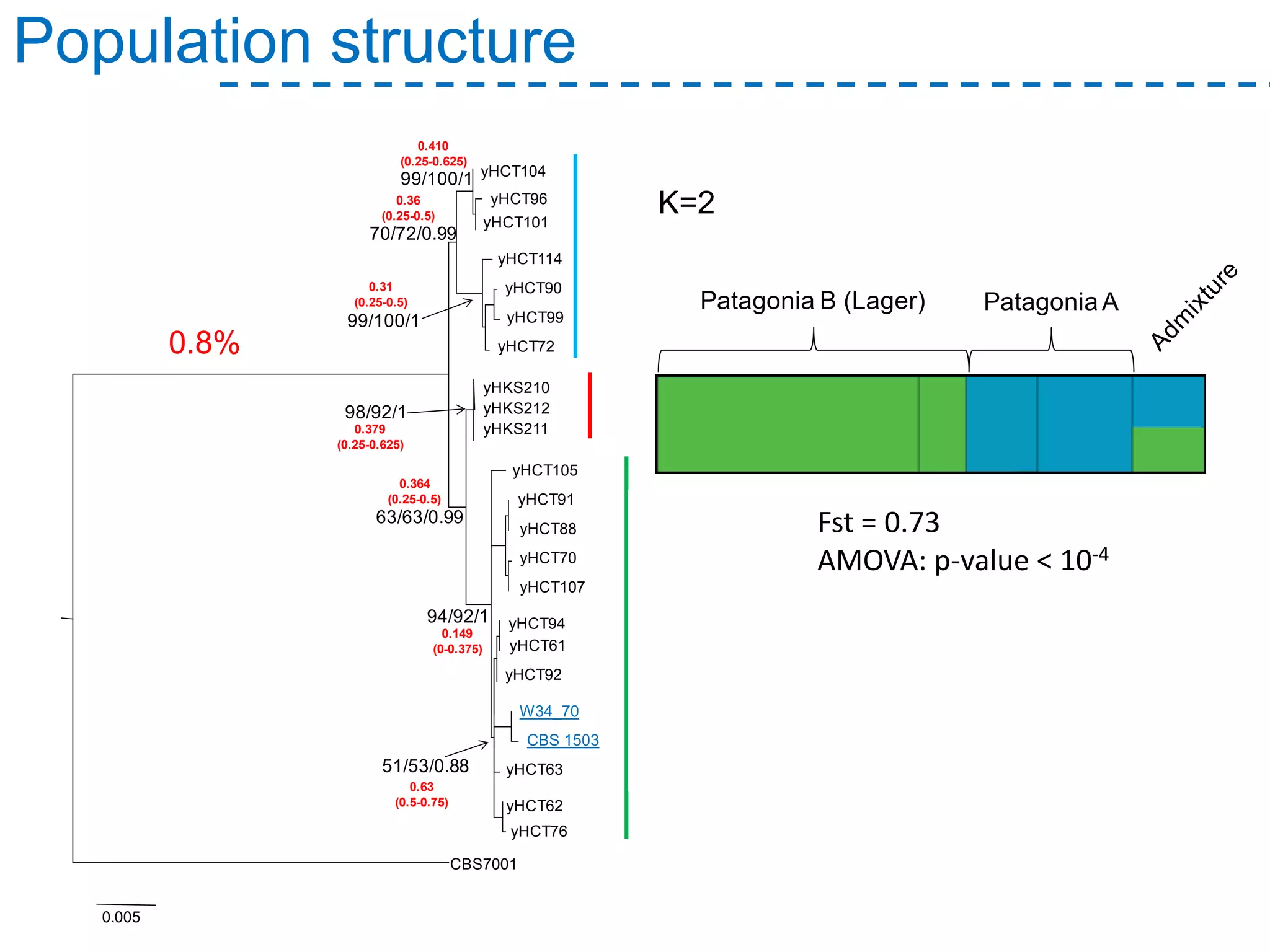Population structure
Fst = 0.73
AMOVA: p-value < 10-4
0.8%
70/72/0.99
99/100/1
99/100/1
98/92/1
63/63/0.99
94/92/1
51/53/0.88
yHCT104
yHCT96
yHCT101
yHCT114
yHCT90
yHCT99
yHCT72
0.005
yHKS210
yHKS212
yHKS211
yHCT105
yHCT91
yHCT88
yHCT70
yHCT107
yHCT94
yHCT61
yHCT92
W34_70
CBS 1503
yHCT63
yHCT62
yHCT76
CBS7001
PATAGONIA
PATAGONIA-LAGERNORTH
AMERICA
0.410
(0.25-0.625)
0.36
(0.25-0.5)
0.31
(0.25-0.5)
0.379
(0.25-0.625)
0.364
(0.25-0.5)
0.149
(0-0.375)
0.63
(0.5-0.75)
Patagonia B (Lager) Patagonia A
K=2
W34_70
CBS 1503
 