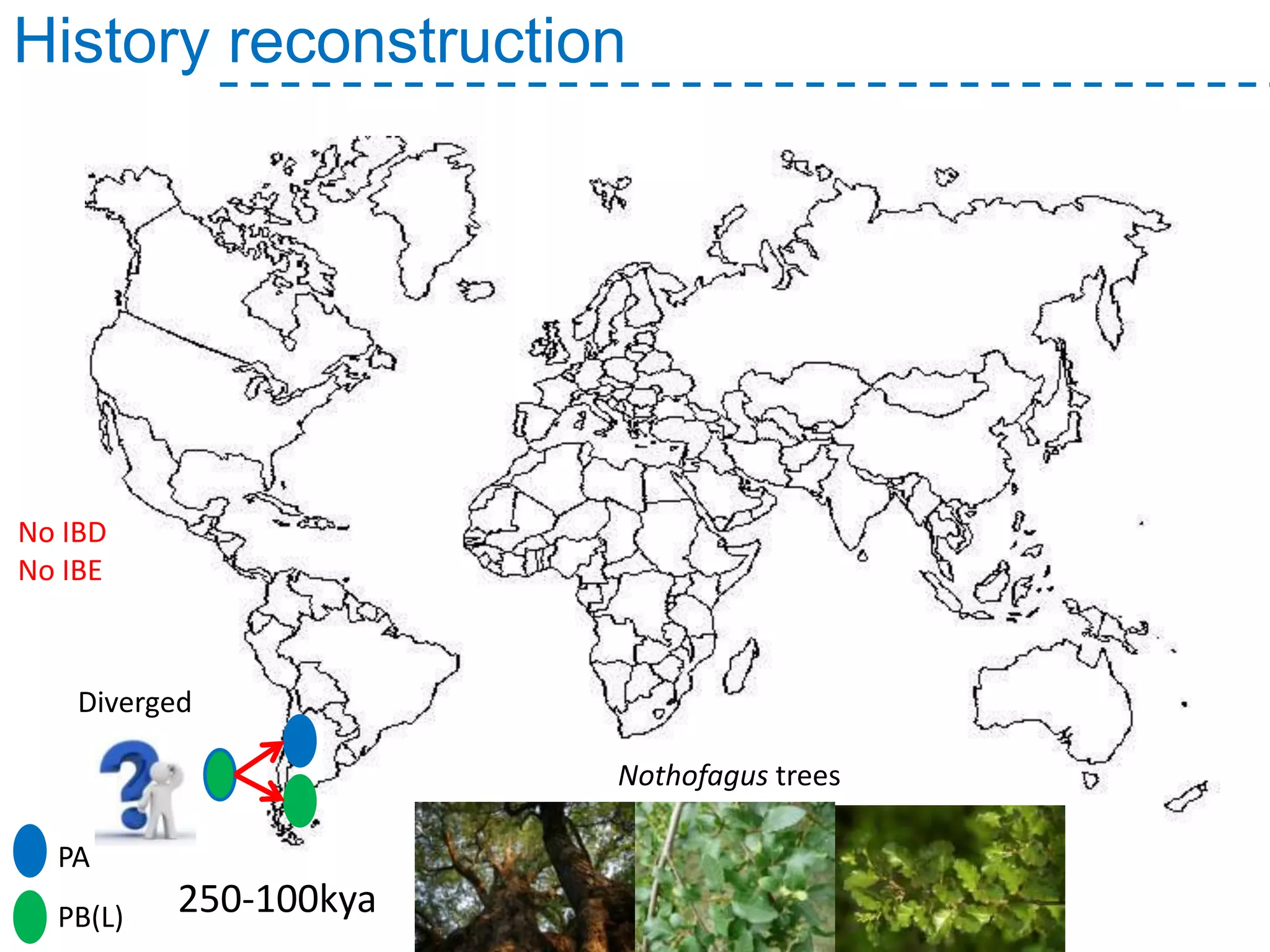 PA
PB(L) 250-100kya
Diverged
History reconstruction
Nothofagus trees
No IBD
No IBE
 