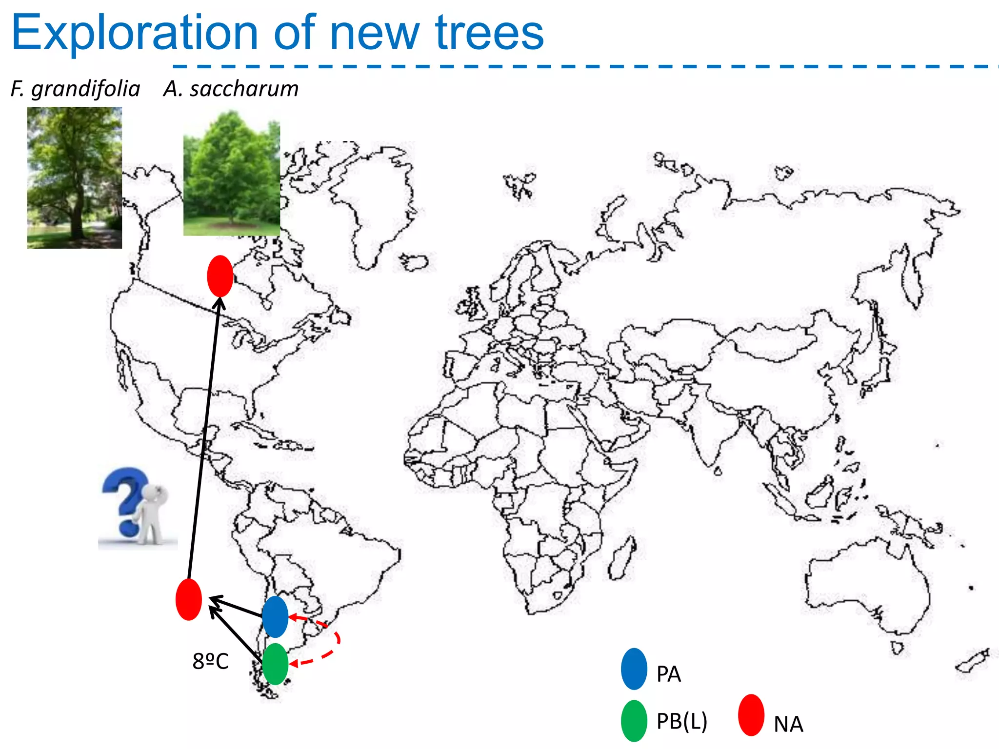 8ºC
Exploration of new trees
A. saccharumF. grandifolia
PA
PB(L) NA
 