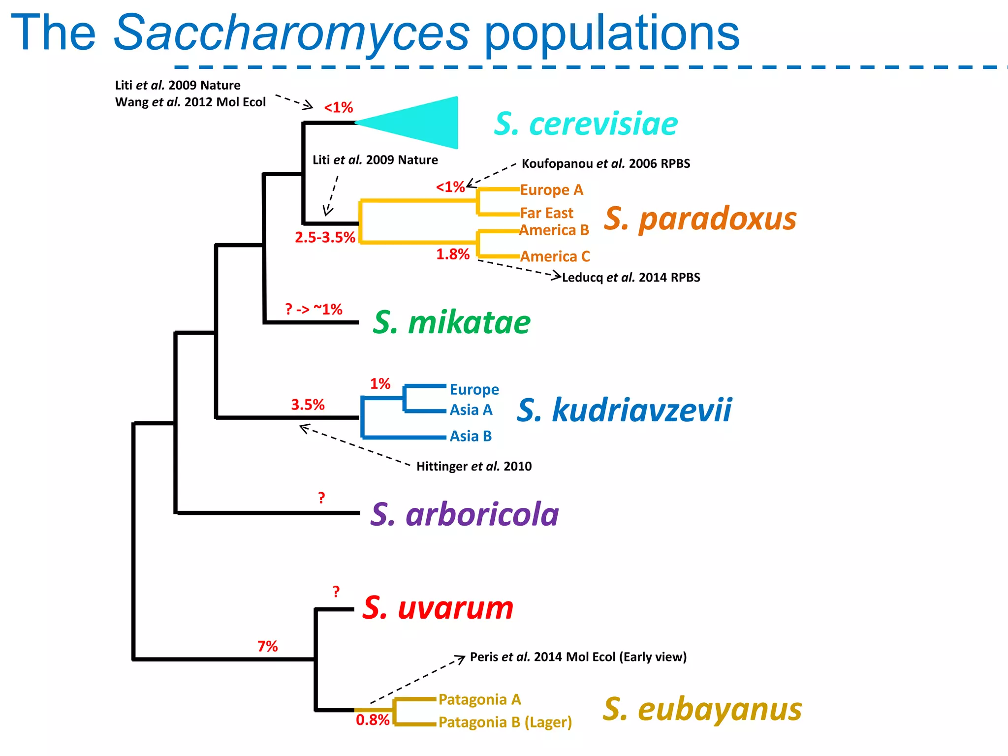 The Saccharomyces populations
S. paradoxus
S. mikatae
S. arboricola
S. kudriavzevii
S. uvarum
S. cerevisiae
S. eubayanus
Europe A
America B
America C
Far East
<1%
2.5-3.5%
1.8%
Leducq et al. 2014 RPBS
Liti et al. 2009 Nature
Wang et al. 2012 Mol Ecol <1%
? -> ~1%
?
3.5%
1% Europe
Asia A
Asia B
Peris et al. 2014 Mol Ecol (Early view)
Patagonia A
Patagonia B (Lager)0.8%
Hittinger et al. 2010
Liti et al. 2009 Nature Koufopanou et al. 2006 RPBS
?
7%
 