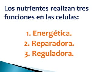 1. Energética.
2. Reparadora.
3. Reguladora.
 
