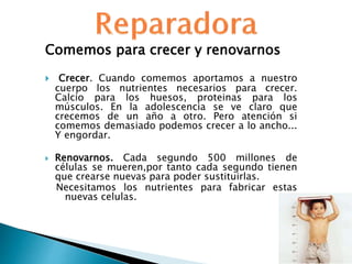 Comemos para crecer y renovarnos
 Crecer. Cuando comemos aportamos a nuestro
cuerpo los nutrientes necesarios para crecer.
Calcio para los huesos, proteinas para los
músculos. En la adolescencia se ve claro que
crecemos de un año a otro. Pero atención si
comemos demasiado podemos crecer a lo ancho...
Y engordar.
 Renovarnos. Cada segundo 500 millones de
células se mueren,por tanto cada segundo tienen
que crearse nuevas para poder sustituirlas.
Necesitamos los nutrientes para fabricar estas
nuevas celulas.
 