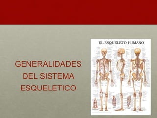 GENERALIDADES 
DEL SISTEMA 
ESQUELETICO 
 