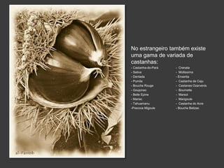 No estrangeiro também existe 
uma gama de variada de 
castanhas: 
- Castanha-do-Pará - Crenata 
- Sativa - Mollissima 
- Dentada - Enxertia 
- Pumila - Castanha de Caju 
- Bouche Rouge - Castanea Ozarvenis 
- Goujonao - Boumette 
- Belle Epine - Marsol 
- Mariac - Marigoule 
- Tahuamanu - Castanha do Acre 
-Precoce Migoule - Bouche Betizac 
 