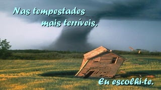 NNaass tteemmppeessttaaddeess 
mmaaiiss tteerrrríívveeiiss,, 
EEuu eessccoollhhii--ttee.. 
 