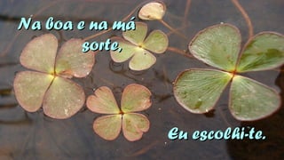 NNaa bbooaa ee nnaa mmáá 
ssoorrttee,, 
EEuu eessccoollhhii--ttee.. 
 