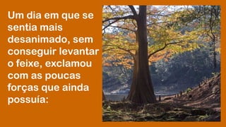 Um dia em que se 
sentia mais 
desanimado, sem 
conseguir levantar 
o feixe, exclamou 
com as poucas 
forças que ainda 
possuía: 
 
