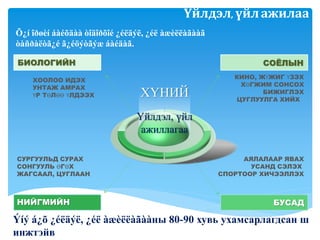 Үйлдэл, үйл ажилаа 
Õ¿í îðøèí áàéõäàà òîäîðõîé ¿éëäýë, ¿éë àæèëëàãààã 
òàñðàëòã¿é ã¿éöýòãýæ áàéäàã. 
ХҮНИЙ 
Үйлдэл, үйл 
ажиллагаа 
БИОЛОГИЙН 
ХООЛОО ИДЭХ 
УНТАЖ АМРАХ 
ҮР ТӨЛӨӨ ҮЛДЭЭХ 
СОЁЛЫН 
КИНО, ЖҮЖИГ ҮЗЭХ 
ХӨГЖИМ СОНСОХ 
БИЖИГЛЭХ 
ЦУГЛУУЛГА ХИЙХ 
СУРГУУЛЬД СУРАХ 
СОНГУУЛЬ ӨГӨХ 
ЖАГСААЛ, ЦУГЛААН 
НИЙГМИЙН 
АЯЛАЛААР ЯВАХ 
УСАНД СЭЛЭХ 
СПОРТООР ХИЧЭЭЛЛЭХ 
БУСАД 
Ýíý á¿õ ¿éëäýë, ¿éë àæèëëàãààны 80-90 хувь ухамсарлагдсан ш 
инжтэйв 
 